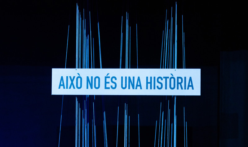 Manual per a éssers vius 2 horitzontal_ Sílvia Poch (1) - La Mula Magda Puig & Andreu Martínez.jpg